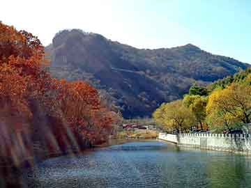 新澳天天开奖资料大全旅游团，安康游戏